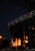 21-19. Fox by Night.JPG